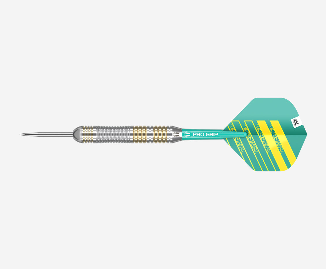 Rob Cross Brass Darts - Image 4
